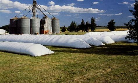 Silo bolsa y su efecto sobre los precios de la soja.